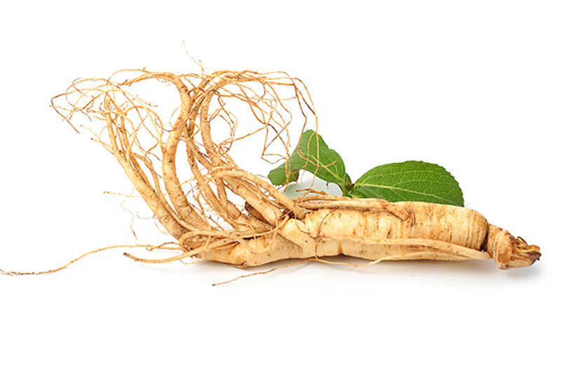 GinsenEXTTM - Ginseng extract