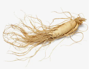 Ginseng extract