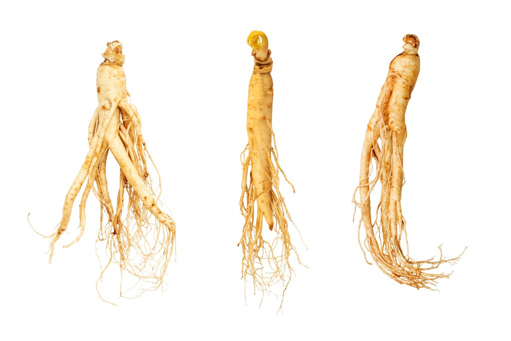 Ginseng-HerbMountain