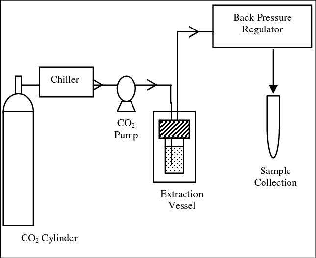 Supercritical Fluid