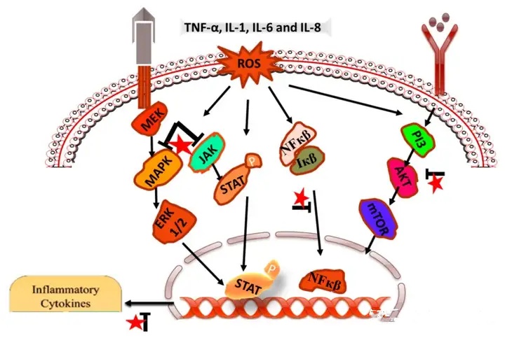 Luteolin